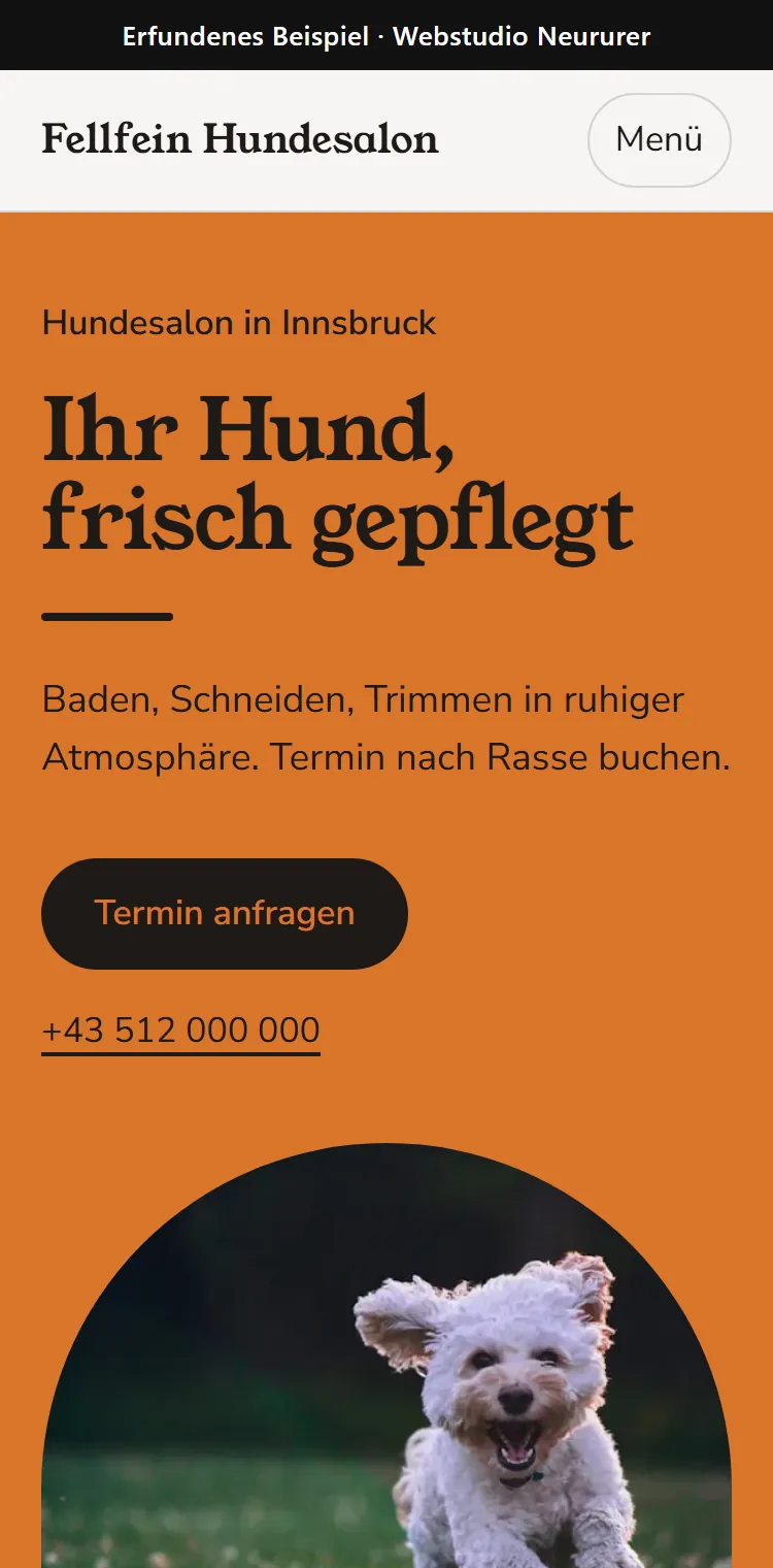 Handy-Ansicht der erfundenen Beispiel-Website Fellfein Hundesalon: Überschrift, Termin-Knopf, Telefonnummer und Foto eines Hundes